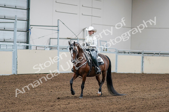 2020 - AB Morgan Horse - Sat, Sept 05 - 09000