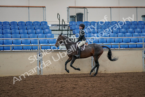 2019 Morgan Horse Show - Aug 30, 2019 - 23453