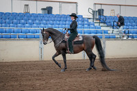 2019 Morgan Horse Show - Sept 01, 2019 - 11197