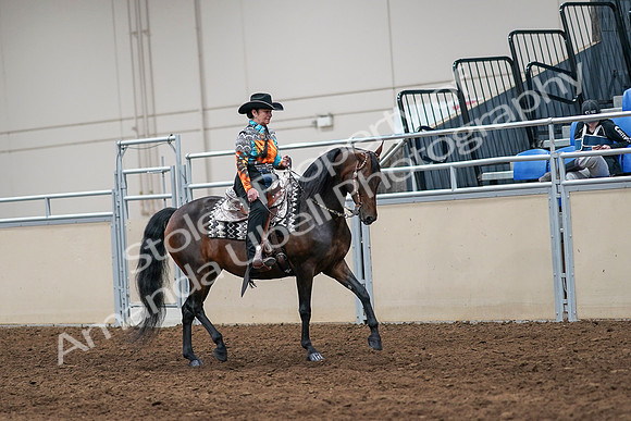 2020 - AB Morgan Horse - Sun, Sept 06 - 07561