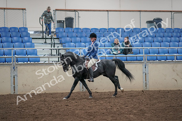 2019 Morgan Horse Show - Aug 31, 2019 - 07344