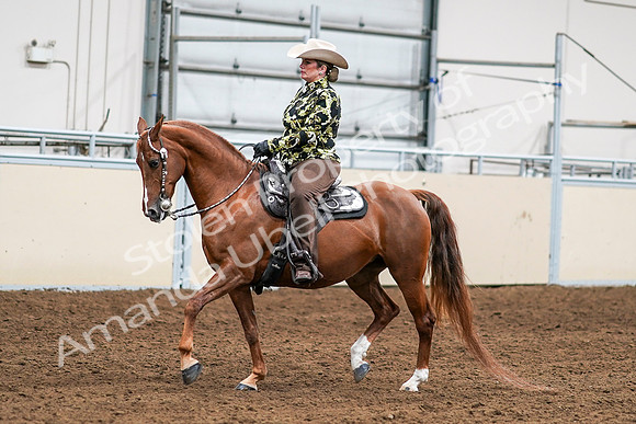 2020 - AB Morgan Horse - Sat, Sept 05 - 08986