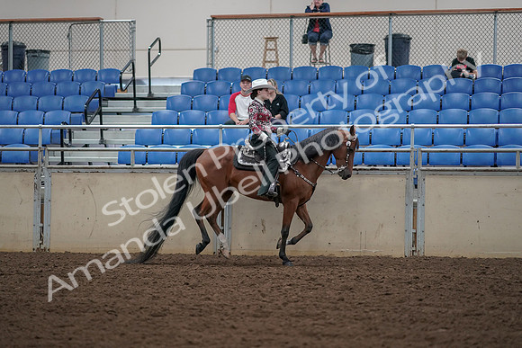 2019 Morgan Horse Show - Aug 30, 2019 - 26194