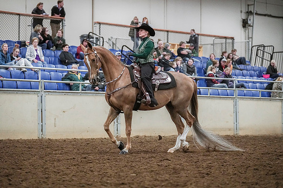 Spring Fling - Saturday - April 20, 2019  -  03993