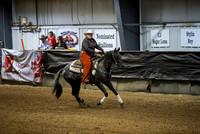 Rein - Fence/Box - Rein Box Futurity