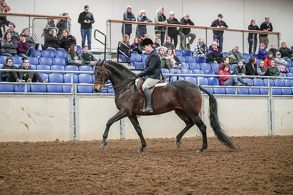 Spring Fling - Saturday - April 20, 2019  -  04582