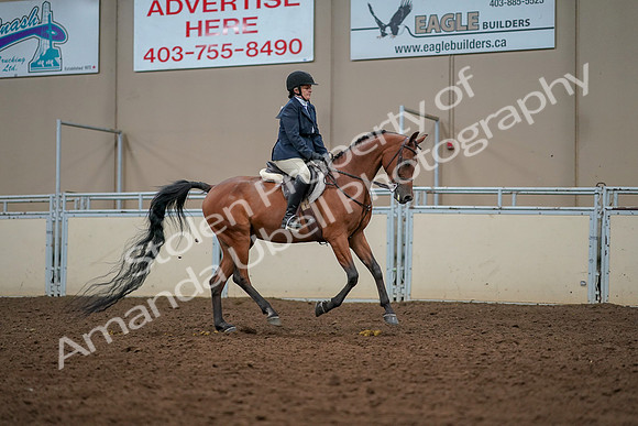 2019 Morgan Horse Show - Aug 30, 2019 - 22491