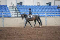 2019 Morgan Horse Show - Sept 01, 2019 - 05490