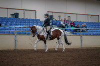 2019 Morgan Horse Show - Aug 30, 2019 - 14858