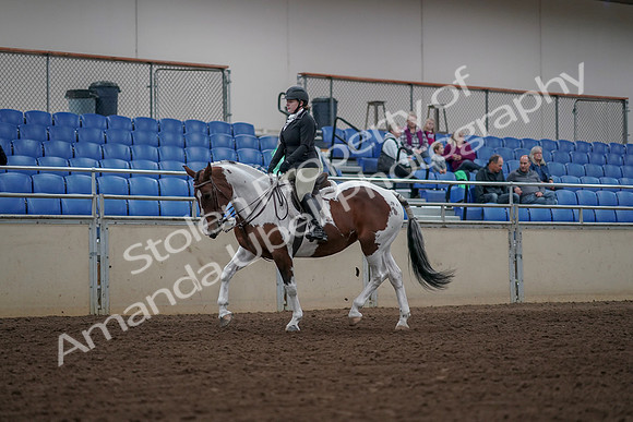 2019 Morgan Horse Show - Aug 30, 2019 - 14858