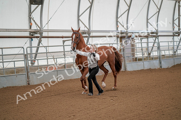 July 19, 2019 - 65
