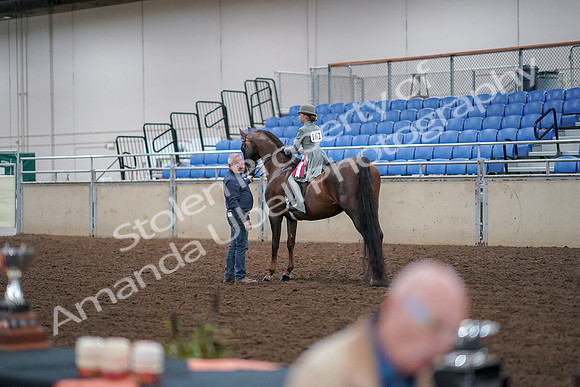 2019 Morgan Horse Show - Aug 30, 2019 - 18201