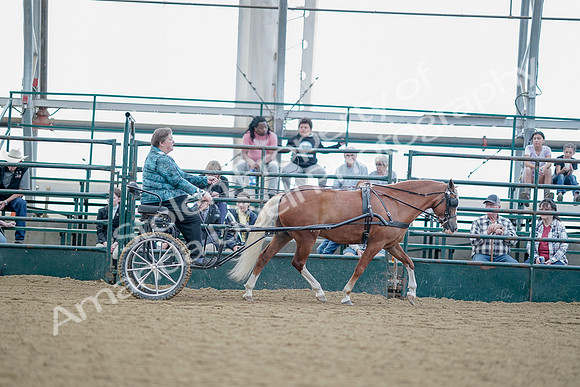 July 21, 2019 - 09013