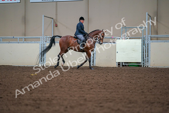 2019 Morgan Horse Show - Aug 30, 2019 - 20984