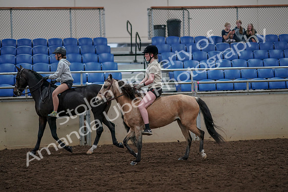 2019 Morgan Horse Show - Aug 30, 2019 - 31226
