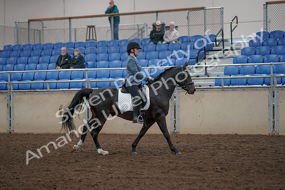 2019 Morgan Horse Show - Aug 31, 2019 - 07503