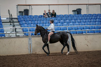 2019 Morgan Horse Show - Aug 30, 2019 - 31029