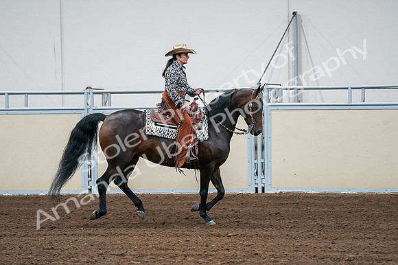 2020 - AB Morgan Horse - Fri, Sept 04 - 00411