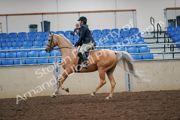 2019 Morgan Horse Show - Aug 30, 2019 - 16333