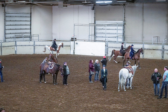 Spring Fling - Saturday - April 20, 2019  -  00349