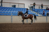 2019 Morgan Horse Show - Aug 31, 2019 - 05550