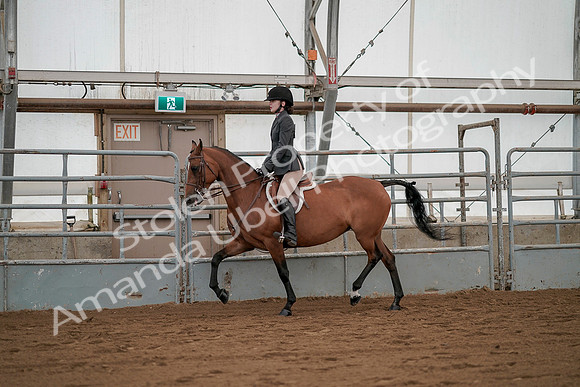 July 19, 2019 - 2446
