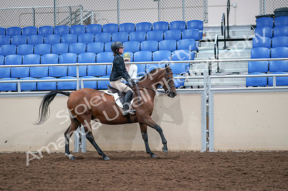 2020 - AB Morgan Horse - Fri, Sept 04 - 02132