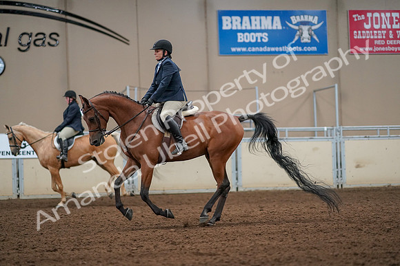 2019 Morgan Horse Show - Aug 30, 2019 - 22443