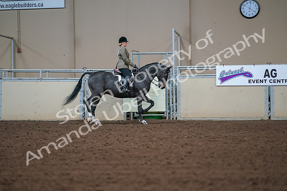 2019 Morgan Horse Show - Aug 30, 2019 - 20728
