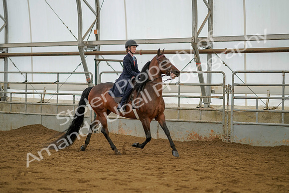 July 20, 2019 - 03910