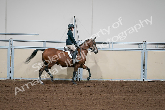 2020 - AB Morgan Horse - Fri, Sept 04 - 02144