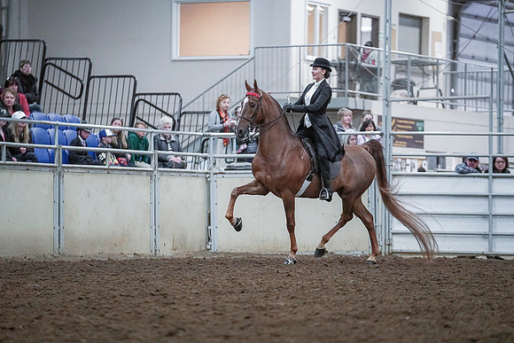 Spring Fling - Saturday - April 20, 2019  -  00494