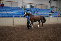 2019 Morgan Horse Show - Aug 31, 2019 - 02909