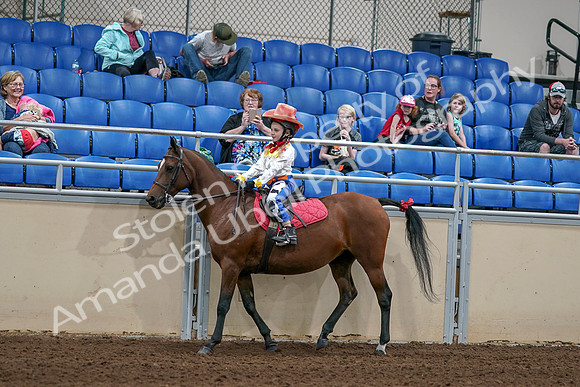 2020 - AB Morgan Horse - Sat, Sept 05 - 05777