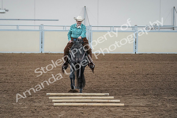 2020 - AB Morgan Horse - Fri, Sept 04 - 00635