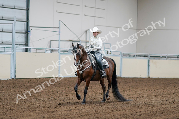 2020 - AB Morgan Horse - Sat, Sept 05 - 08999
