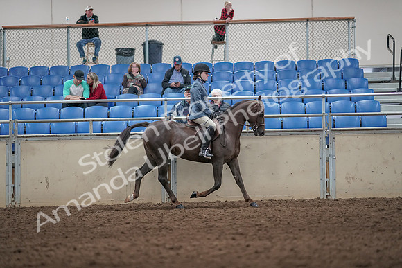 2019 Morgan Horse Show - Aug 31, 2019 - 07412