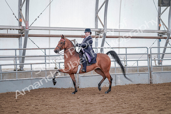 July 20, 2019 - 13753