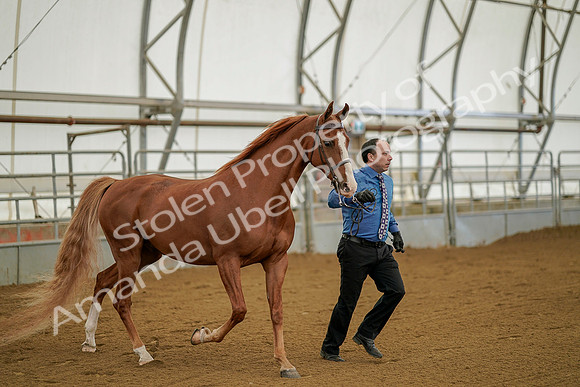July 19, 2019 - 894