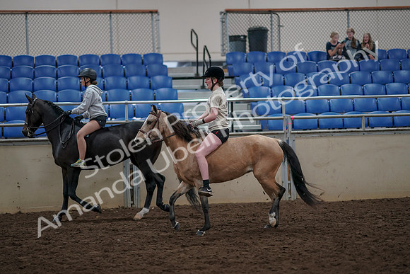 2019 Morgan Horse Show - Aug 30, 2019 - 31227
