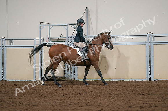 2020 - AB Morgan Horse - Fri, Sept 04 - 02100