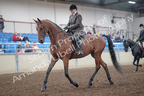 2019 Morgan Horse Show - Aug 31, 2019 - 14645