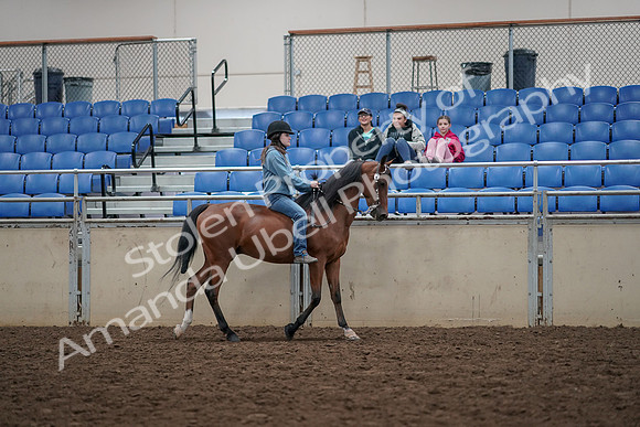 2019 Morgan Horse Show - Aug 30, 2019 - 31349