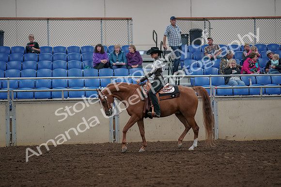2019 Morgan Horse Show - Aug 30, 2019 - 26020
