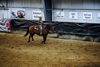 Rein - Fence/Box - Rein Box