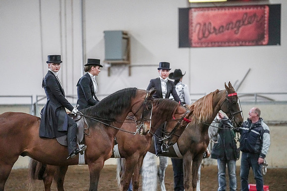 Spring Fling - Saturday - April 20, 2019  -  03957