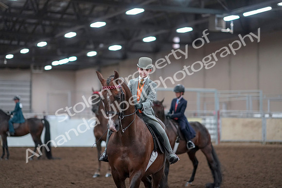 2019 Morgan Horse Show - Aug 30, 2019 - 18198