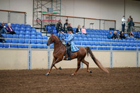2020 - AB Morgan Horse - Sat, Sept 05 - 03310