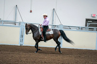 2020 - AB Morgan Horse - Fri, Sept 04 - 00542