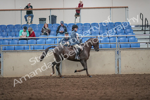 2019 Morgan Horse Show - Aug 31, 2019 - 07413